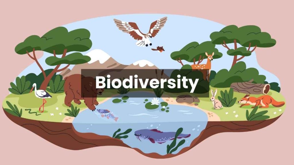 biodiversity