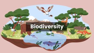 From Singularity to Biodiversity